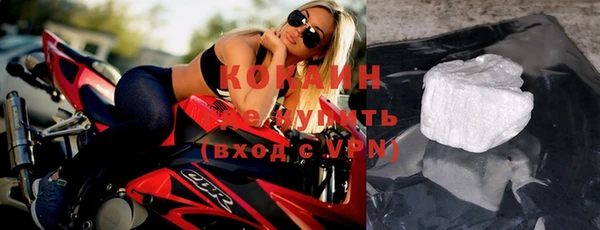 ГАЛЛЮЦИНОГЕННЫЕ ГРИБЫ Гусь-Хрустальный