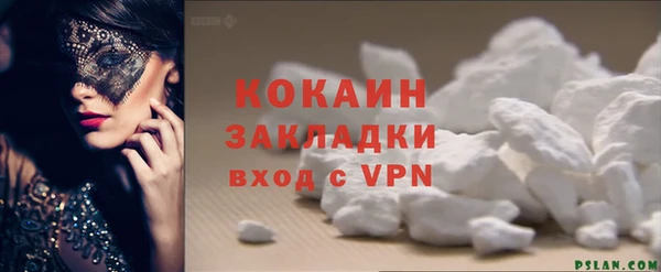 ГАЛЛЮЦИНОГЕННЫЕ ГРИБЫ Гусь-Хрустальный