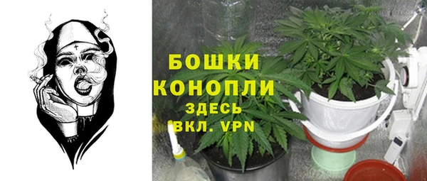 ГАЛЛЮЦИНОГЕННЫЕ ГРИБЫ Гусь-Хрустальный