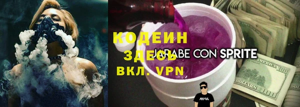 ГАЛЛЮЦИНОГЕННЫЕ ГРИБЫ Гусь-Хрустальный