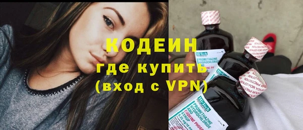 ГАЛЛЮЦИНОГЕННЫЕ ГРИБЫ Гусь-Хрустальный