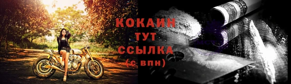 шишки Нефтегорск