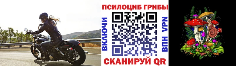 Галлюциногенные грибы мицелий  Гусиноозёрск 