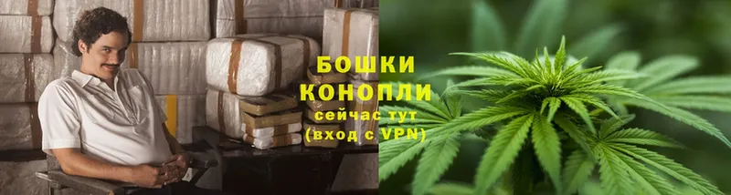 Каннабис Bruce Banner  Гусиноозёрск 